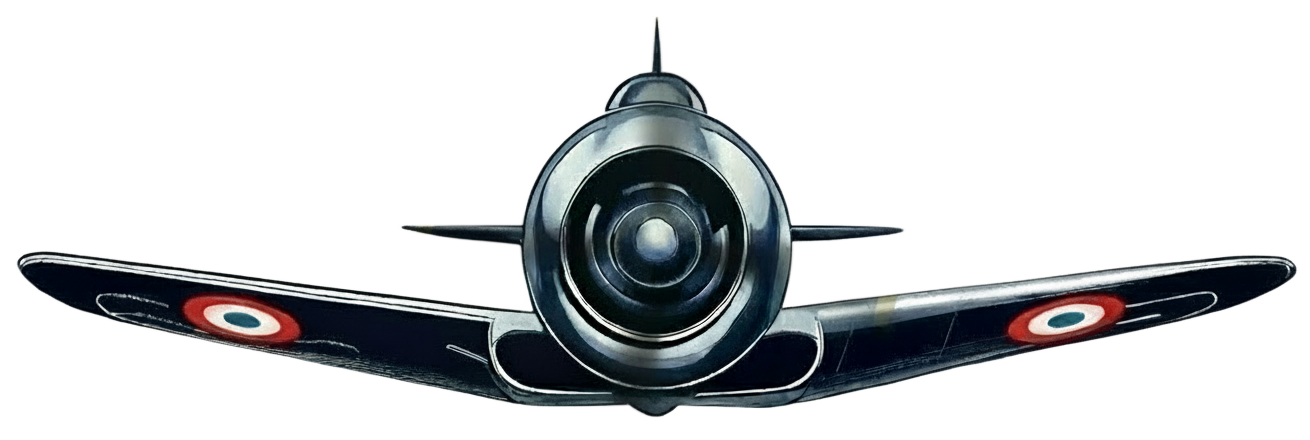 Logo Warbirds Family