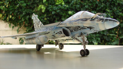 Dassault RAFALE M "custom"