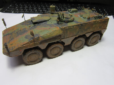 German Boxer MRAV