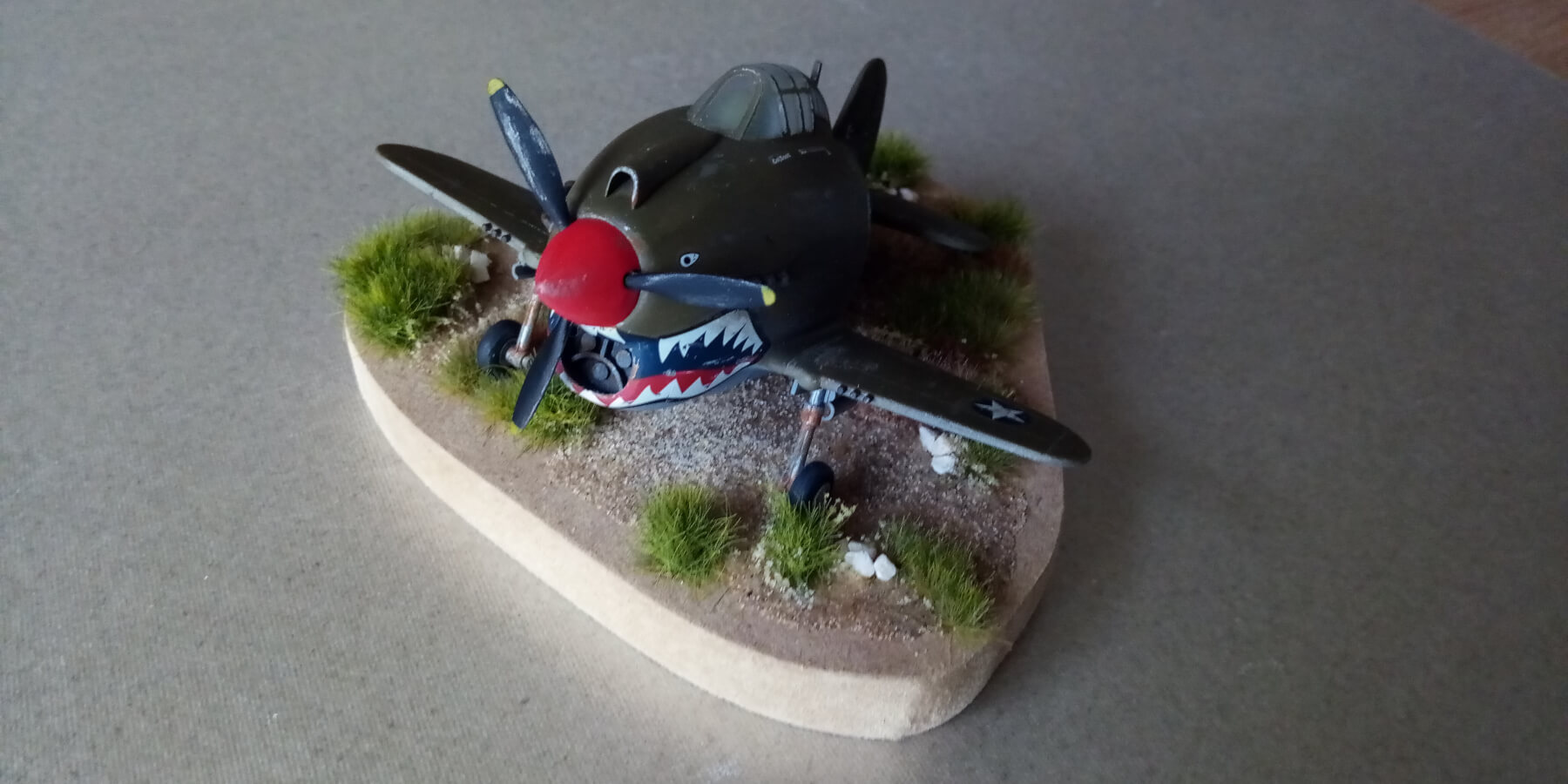 Eggplane P40 warhawk